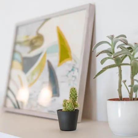 Bed & Breakfast R&b Al