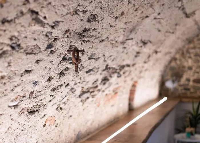 R&b Al 3* דומאסו