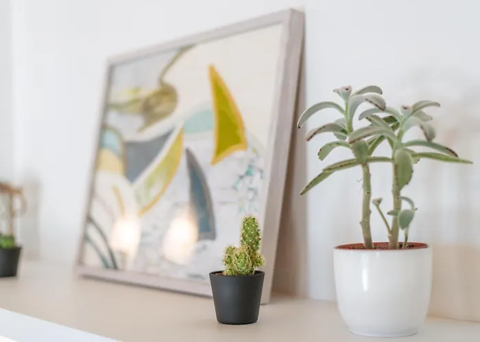 Bed & Breakfast R&b Al